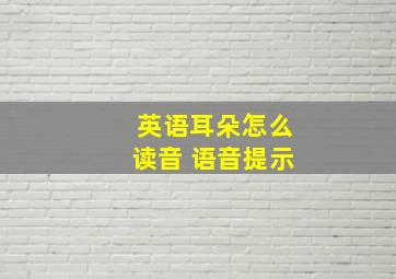 英语耳朵怎么读音 语音提示